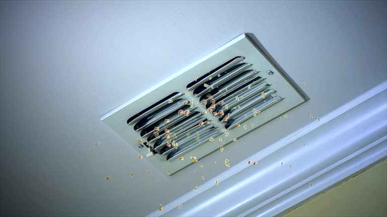 Best Air Duct Cleaning Near Me  in Butler, MO