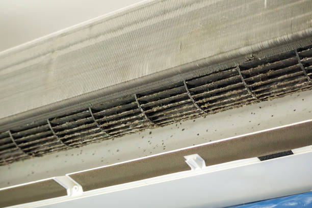 Best HVAC Duct Inspection Services  in Butler, MO